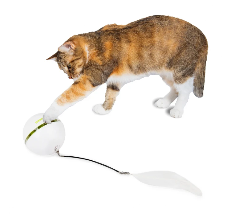 AFP Εκπαιδευτικό Παιχνίδι Γάτας Interactive Rolling Laser Ball 6.5cm 4 AFP Εκπαιδευτικό Παιχνίδι Γάτας Interactive Rolling Laser Ball 6.5cm - Image 2