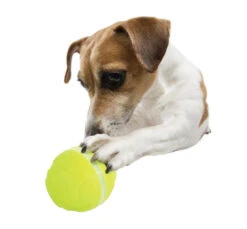 AFP Παιχνίδι Interactive Lucky Treat Dispenser With Rolling Ball 28x18x19cm -Gatoskilo Petshop Store afp pexnidi interactive lucky treat dispenser with rolling ball 28x18x19cm 3