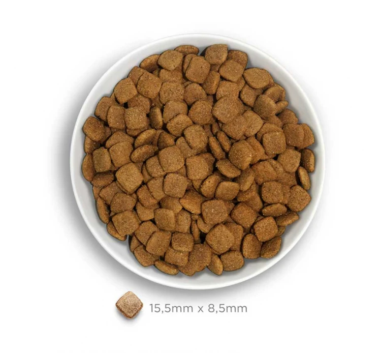 Amanova Dog Adult Mobility Fish Delicacy 10kg Low Grain 5 Amanova Dog Adult Mobility Fish Delicacy 10kg Low Grain - Image 3