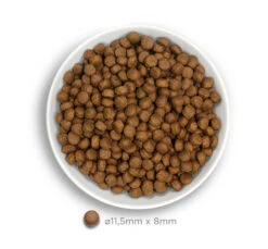 Amanova Dog Puppy Large Exquisite Chicken 12kg Low Grain 7 Amanova Dog Puppy Large Exquisite Chicken 12kg Low Grain -Gatoskilo Petshop Store amanova dog puppy large exquisite chicken 12kg low grain 2