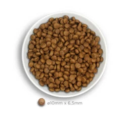 Amanova Dog Puppy Mini Exquisite Chicken 2kg Low Grain 7 Amanova Dog Puppy Mini Exquisite Chicken 2kg Low Grain -Gatoskilo Petshop Store amanova dog puppy mini exquisite chicken 2kg low grain 2