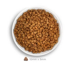 Amanova Sterilised Cat Delicious Lamb 4kg Low Grain 7 Amanova Sterilised Cat Delicious Lamb 4kg Low Grain -Gatoskilo Petshop Store amanova sterilised cat delicious lamb 4kg low grain 2