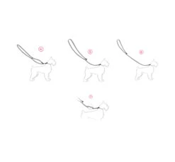 Amiplay Be Space Leash 7 In 1 Οδηγός Comics 100-200cm -Gatoskilo Petshop Store amiplay be space leash 7 in 1 odigos comics 100 200cm 2