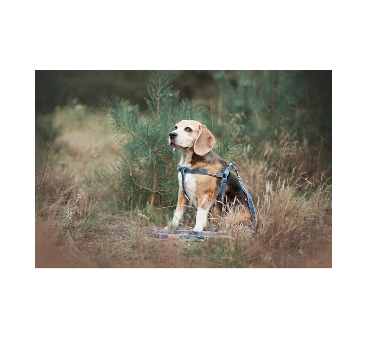 Amiplay Eco Leash Denim Blue Οδηγός Τζιν Γαλάζιο 1.40m 4 Amiplay Eco Leash Denim Blue Οδηγός Τζιν Γαλάζιο 1.40m - Image 2