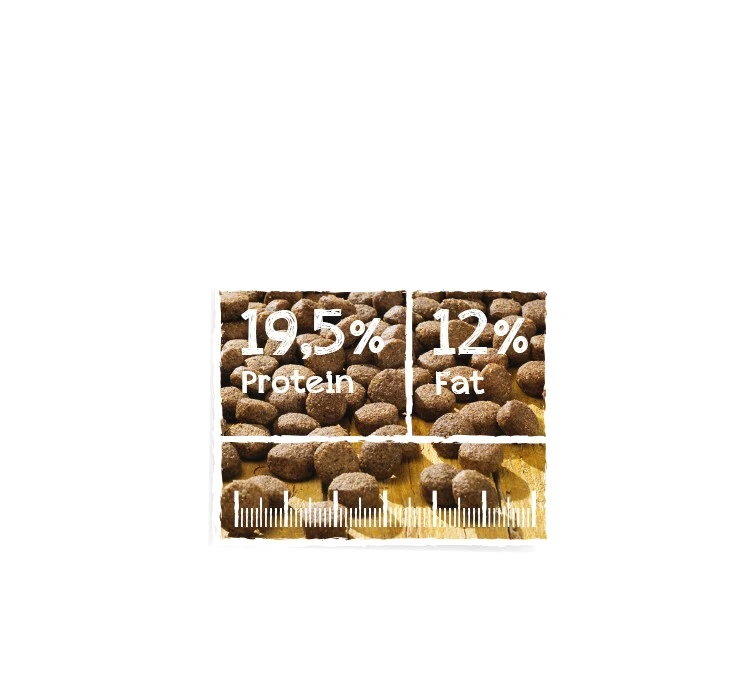 Belcando Senior Finest Grain-Free Poultry 12.5kg 4 Belcando Senior Finest Grain-Free Poultry 12.5kg - Image 2