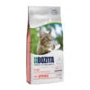 Bozita Large Σολομός Wheat Free 10kg 2 Bozita Large Σολομός Wheat Free 10kg -Gatoskilo Petshop Store bozita large solomos wheat free 10kg
