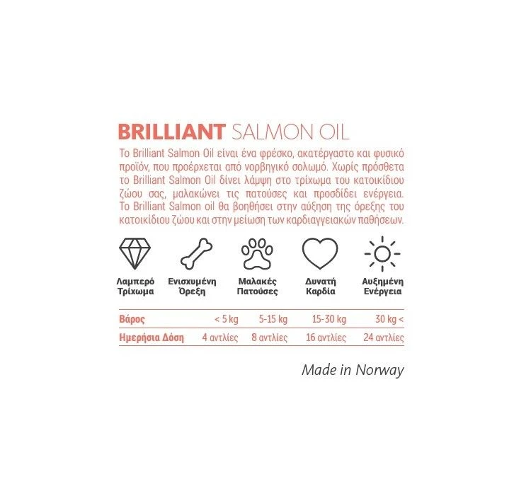 Brilliant Λάδι Σολομού Νορβηγίας 4 Brilliant Λάδι Σολομού Νορβηγίας - Image 2