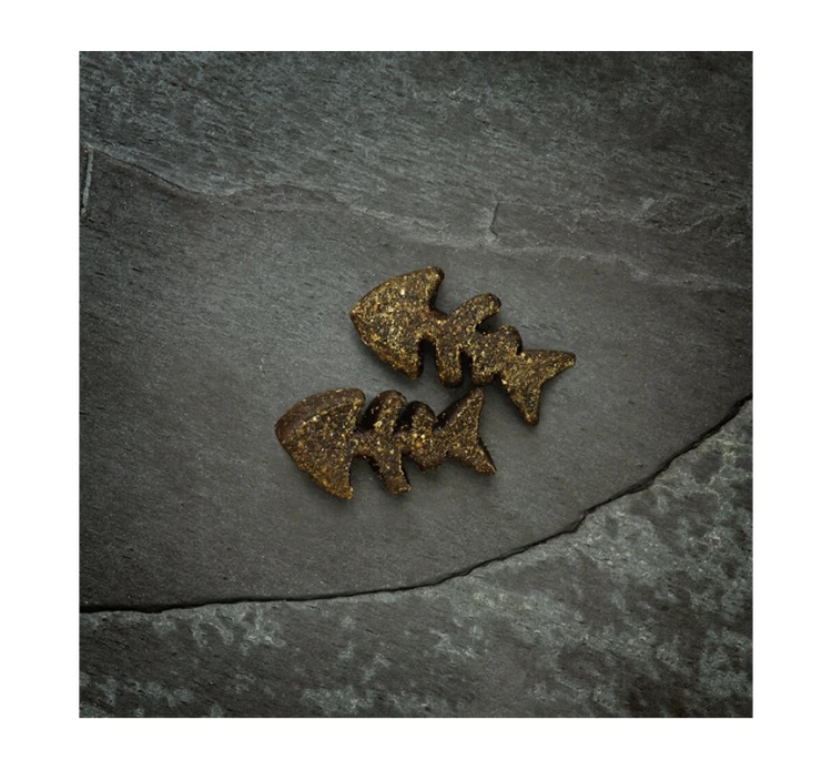 Canagan Dog Softies Salmon 200gr 4 Canagan Dog Softies Salmon 200gr - Image 2