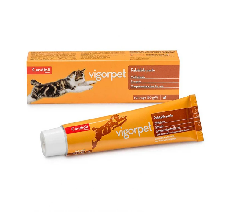 Candioli Vigorpet Paste 50gr Βιταμίνες & Αμινοξέα 3 Candioli Vigorpet Paste 50gr Βιταμίνες & Αμινοξέα
