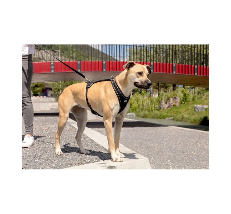 Curli Belka Comfort Harness Σαμαράκι 8 Curli Belka Comfort Harness Σαμαράκι - Image 6