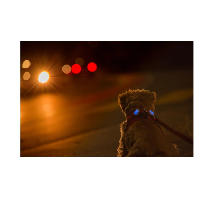 Curli Luumi Led Σετ Φωτάκια 2 τμχ 7 Curli Luumi Led Σετ Φωτάκια 2 τμχ - Image 5