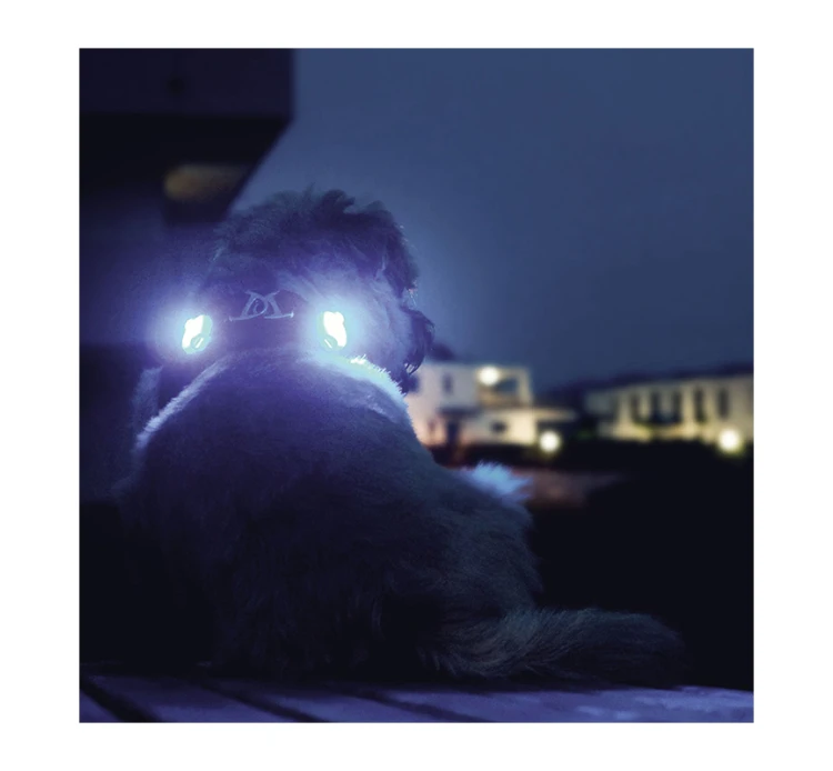 Curli Luumi Led Σετ Φωτάκια 2 τμχ 8 Curli Luumi Led Σετ Φωτάκια 2 τμχ - Image 6