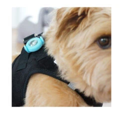 Curli Luumi Led Σετ Φωτάκια 2 τμχ 15 Curli Luumi Led Σετ Φωτάκια 2 τμχ -Gatoskilo Petshop Store curli luumi led set fotakia 2 tmx 6