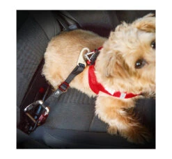 Curli Ζώνη Ασφαλείας Αυτοκινήτου -Gatoskilo Petshop Store curli zoni asfalias aftokinitou 2