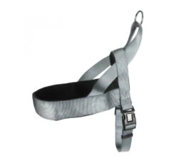 Flamingo Νορβηγικό Σαμαράκι Abbi -Gatoskilo Petshop Store flamingo norvigiko samaraki abbi 3