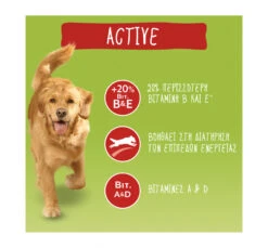 Friskies Active Βοδινό 18kg -Gatoskilo Petshop Store friskies active vodino 18kg 2