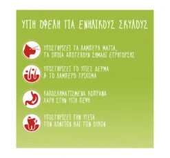 Friskies Active Βοδινό 18kg -Gatoskilo Petshop Store friskies active vodino 18kg 3