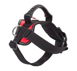 Go Get Σαμαράκι 3D Rings 12 Go Get Σαμαράκι 3D Rings -Gatoskilo Petshop Store go get samaraki 3d rings 2