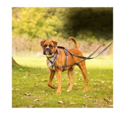 Halti Double Ended Lead Εκπαιδευτικός Οδηγός 2m 15 Halti Double Ended Lead Εκπαιδευτικός Οδηγός 2m -Gatoskilo Petshop Store halti double ended lead ekpedeftikos odigos 2m 3