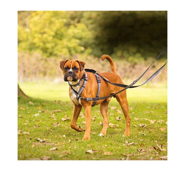 Halti Double Ended Lead Εκπαιδευτικός Οδηγός 2m 6 Halti Double Ended Lead Εκπαιδευτικός Οδηγός 2m - Image 4