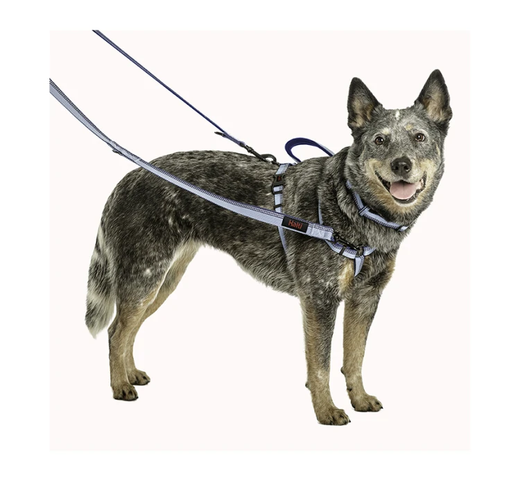 Halti Double Ended Lead Εκπαιδευτικός Οδηγός 2m 10 Halti Double Ended Lead Εκπαιδευτικός Οδηγός 2m - Image 8