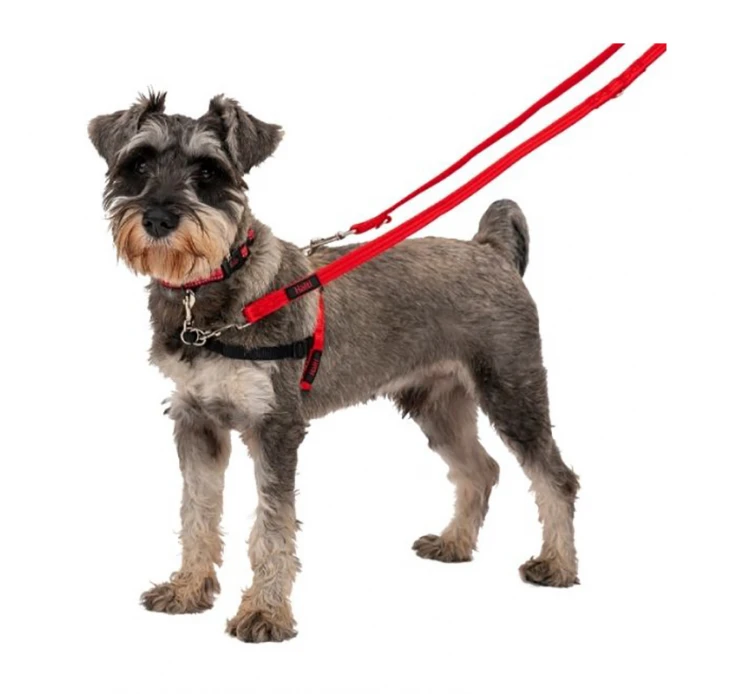 Halti Training Lead Εκπαιδευτικός Οδηγός 2m 7 Halti Training Lead Εκπαιδευτικός Οδηγός 2m - Image 5