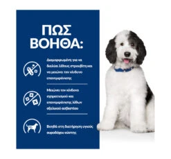 Hills Hill's PD Canine C/d Multicare Urinary Care με Κοτόπουλο 12kg -Gatoskilo Petshop Store hill s pd canine c d multicare urinary care me kotopoulo 12kg 4