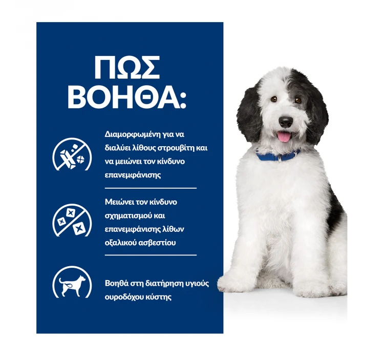 Hills Hill's PD Canine C/d Multicare Urinary Care με Κοτόπουλο 12kg (9kg +3kg ΔΩΡΟ) 7 Hills Hill's PD Canine C/d Multicare Urinary Care με Κοτόπουλο 12kg (9kg +3kg ΔΩΡΟ) - Image 5