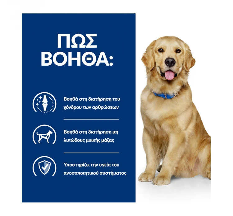 Hills Hill's PD Canine J/d Joint Care με Κοτόπουλο 12kg 7 Hills Hill's PD Canine J/d Joint Care με Κοτόπουλο 12kg - Image 5