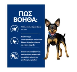 Hills Hill's PD Canine Metabolic Mini Stew Chicken & Vegetables 156g -Gatoskilo Petshop Store hill s pd canine metabolic mini stew chicken vegetables 156g 4