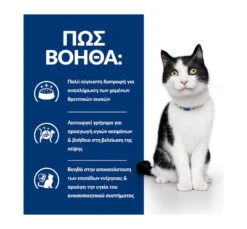 Hills Hill's PD Feline I/d Stew Chicken & Vegetables 82gr 10 Hills Hill's PD Feline I/d Stew Chicken & Vegetables 82gr -Gatoskilo Petshop Store hill s pd feline i d stew chicken vegetables 82gr 3