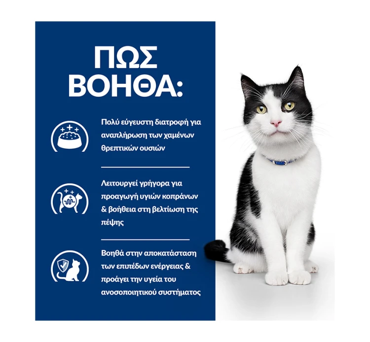 Hills Hill's PD Feline I/d Stew Chicken & Vegetables 82gr 6 Hills Hill's PD Feline I/d Stew Chicken & Vegetables 82gr - Image 4