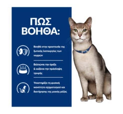 Hills Hill's PD Feline K/d Kidney Care Φακελάκι 85gr -Gatoskilo Petshop Store hill s pd feline k d kidney care fakelaki 85gr 4