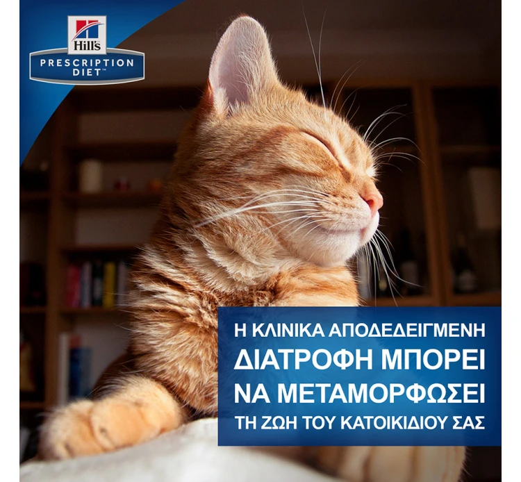 Hills Hill's PD Feline K/d Kidney Care με Κοτόπουλο 1.5kg 15 Hills Hill's PD Feline K/d Kidney Care με Κοτόπουλο 1.5kg - Image 13
