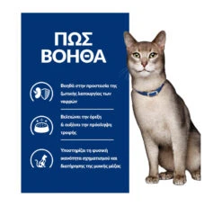 Hills Hill's PD Feline K/d Kidney Care με Κοτόπουλο 1.5kg 21 Hills Hill's PD Feline K/d Kidney Care με Κοτόπουλο 1.5kg -Gatoskilo Petshop Store hill s pd feline k d kidney care me kotopoulo 15kg 5