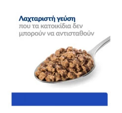 Hills Hill's PD Feline M/d Diabetes/Weight Management 156gr -Gatoskilo Petshop Store hill s pd feline m d diabetes weight management 156gr 1