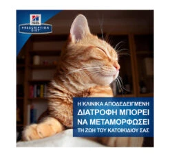 Hills Hill's PD Feline M/d Diabetes/Weight Management 156gr -Gatoskilo Petshop Store hill s pd feline m d diabetes weight management 156gr 11