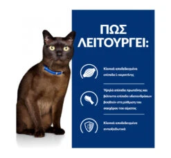 Hills Hill's PD Feline M/d Diabetes/Weight Management 156gr -Gatoskilo Petshop Store hill s pd feline m d diabetes weight management 156gr 5