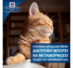Hills Hill's PD Feline Metabolic Weight Management με Κοτόπουλο 1.5kg 25 Hills Hill's PD Feline Metabolic Weight Management με Κοτόπουλο 1.5kg -Gatoskilo Petshop Store hill s pd feline metabolic weight management me kotopoulo 15kg 10