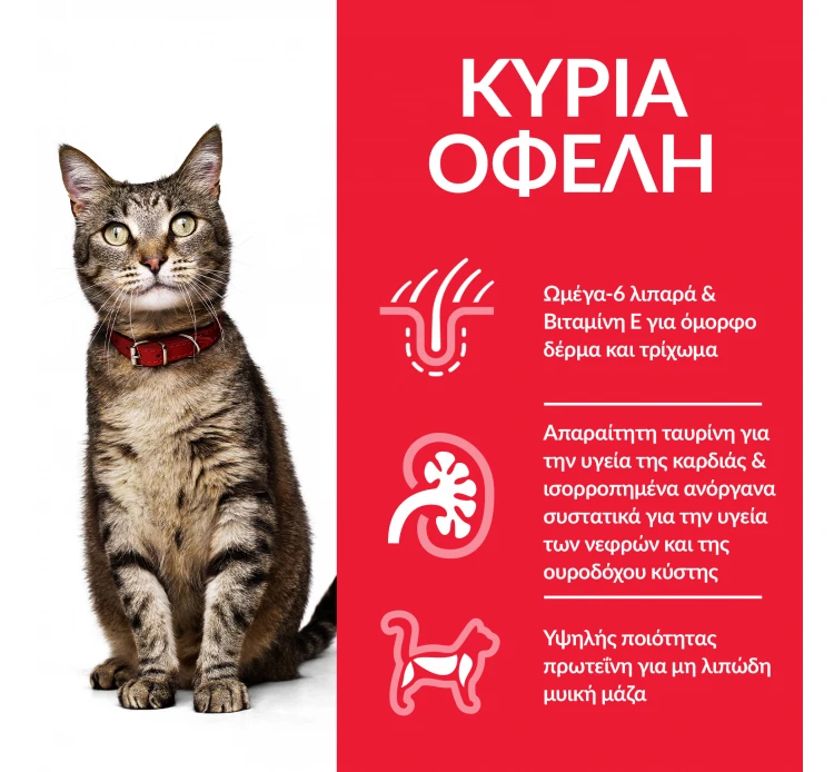 Hills Hill's SP Adult Κοτόπουλο 1.5kg 4 Hills Hill's SP Adult Κοτόπουλο 1.5kg - Image 2