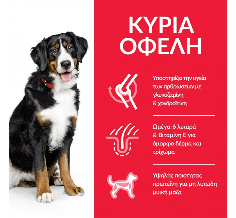 Hills Hill's SP Adult Large Breed Αρνί & Ρύζι 14kg 4 Hills Hill's SP Adult Large Breed Αρνί & Ρύζι 14kg - Image 2