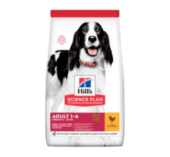 Hills Hill's SP Adult Medium Κοτόπουλο 14kg (10kg + 4kg ΔΩΡΟ)