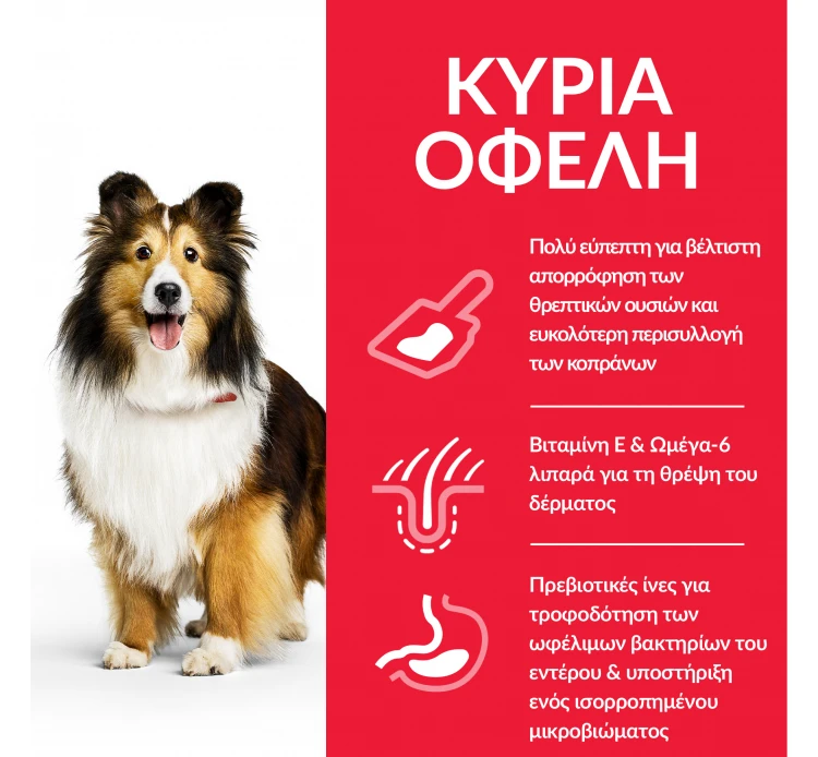 Hills Hill's SP Adult Sensitive Stomach & Skin Medium Κοτόπουλο 14kg (10kg + 4kg ΔΩΡΟ) 4 Hills Hill's SP Adult Sensitive Stomach & Skin Medium Κοτόπουλο 14kg (10kg + 4kg ΔΩΡΟ) - Image 2