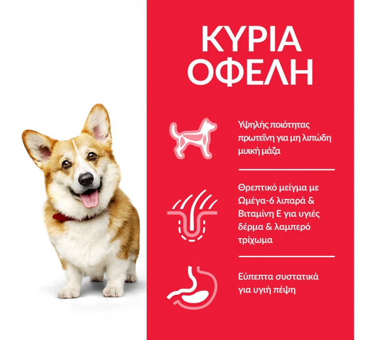 Hills Hill's SP Adult Small & Mini Κοτόπουλο 6kg (4kg+2kg ΔΩΡΟ) 4 Hills Hill's SP Adult Small & Mini Κοτόπουλο 6kg (4kg+2kg ΔΩΡΟ) - Image 2