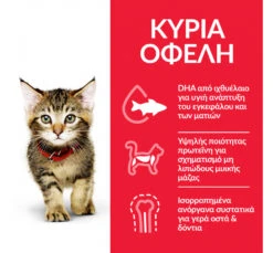 Hills Hill's SP Kitten Κοτόπουλο 1.5kg -Gatoskilo Petshop Store hill s sp kitten kotopoulo 15kg 1