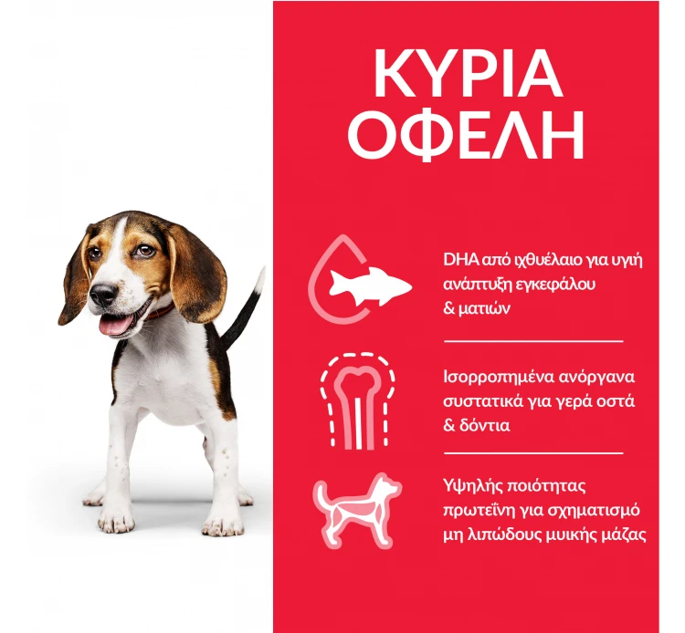 Hills Hill's SP Puppy Medium Κοτόπουλο 800gr 4 Hills Hill's SP Puppy Medium Κοτόπουλο 800gr - Image 2