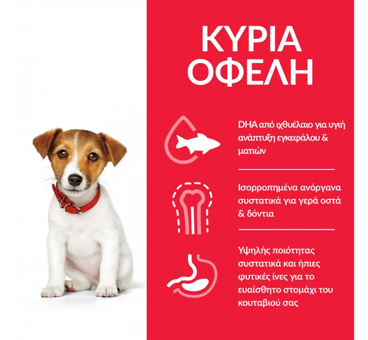 Hills Hill's SP Puppy Small & Mini Κοτόπουλο 6kg 4 Hills Hill's SP Puppy Small & Mini Κοτόπουλο 6kg - Image 2