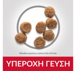 Hills Hill's SP Puppy Small & Mini Κοτόπουλο 6kg 8 Hills Hill's SP Puppy Small & Mini Κοτόπουλο 6kg -Gatoskilo Petshop Store hill s sp puppy small mini kotopoulo 6kg 2