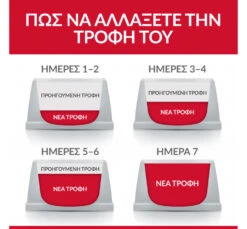 Hills Hill's SP Puppy Small & Mini Κοτόπουλο 6kg 9 Hills Hill's SP Puppy Small & Mini Κοτόπουλο 6kg -Gatoskilo Petshop Store hill s sp puppy small mini kotopoulo 6kg 3