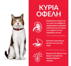 Hills Hill's SP Mature Adult Κοτόπουλο 3kg -Gatoskilo Petshop Store hills sp mature adult κοτόπουλο 3kg 1